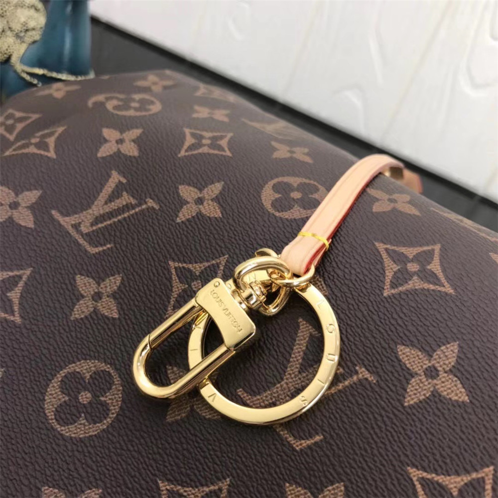 Louis Vuitton-Monogramm-Handtasche in Braun - EUR FASHION