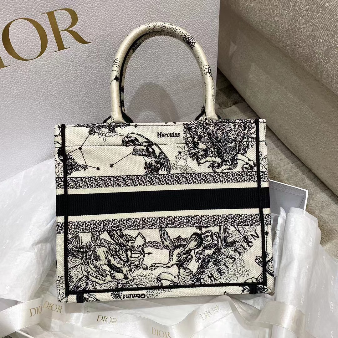 Dior Oblique bestickte Buchtasche - EUR FASHION