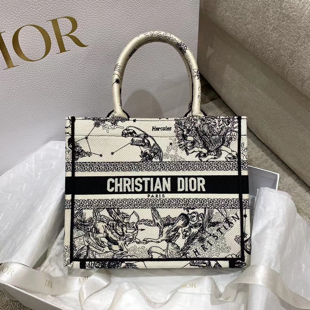 Dior Oblique bestickte Buchtasche - EUR FASHION