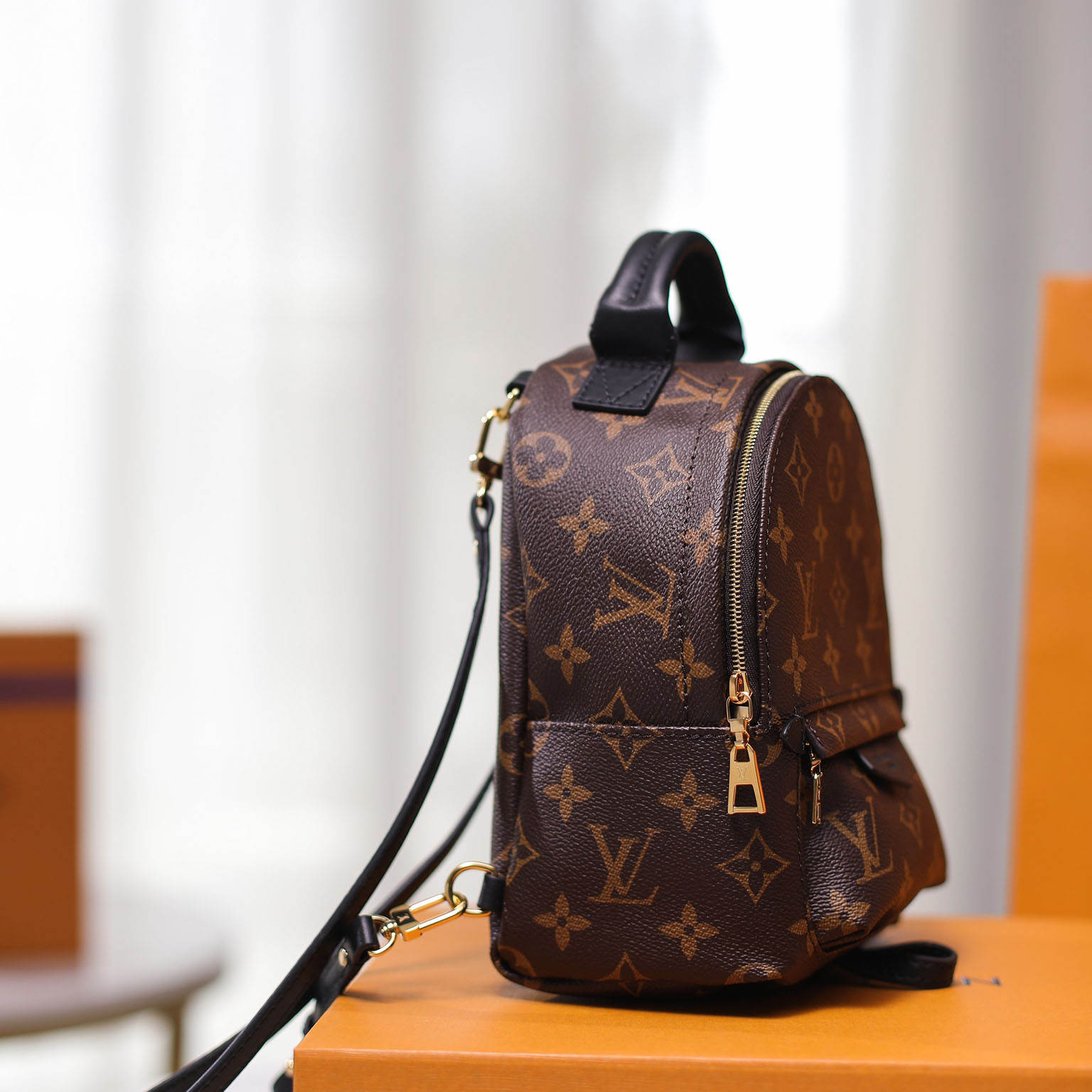 Louis VuittonPalm Springs Mini-Rucksack (17–22–10 cm) M44873 - EUR FASHION