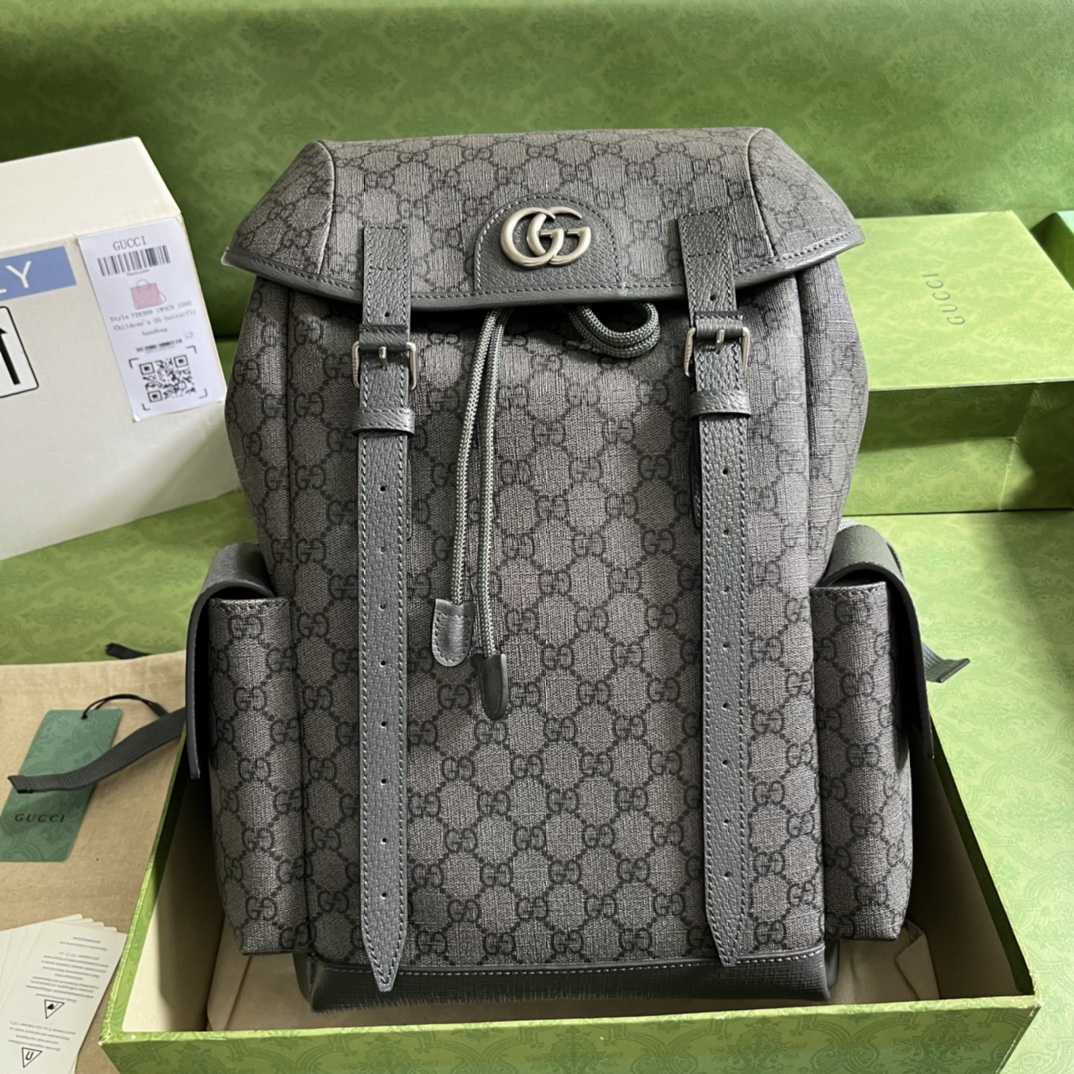 Gucci Ophidia GG Mittelgroßer Rucksack (24-40-16 cm) - EUR FASHION