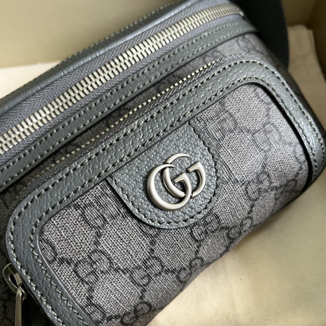 Gucci Ophidia Gürteltasche (23-12-2,5 cm) - EUR FASHION
