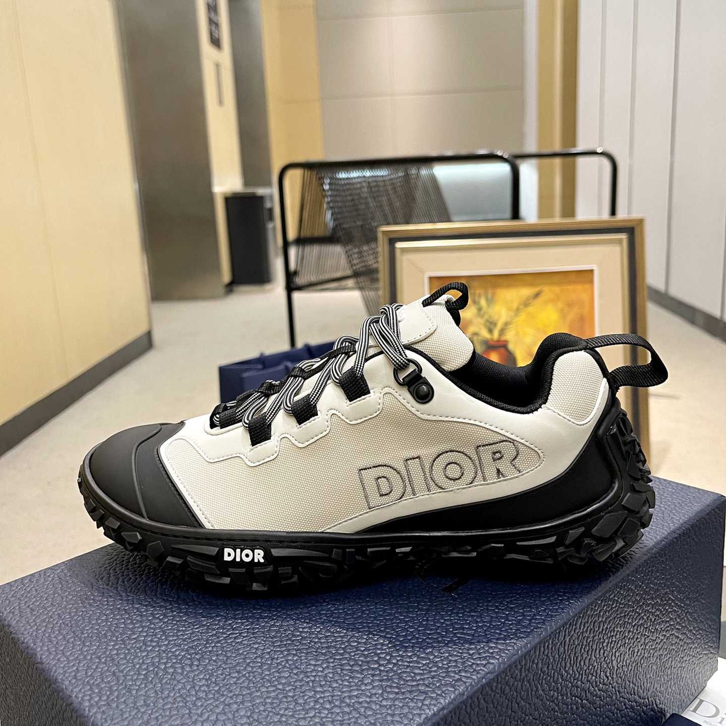 Dior Diorizon Wanderschuh - EUR FASHION