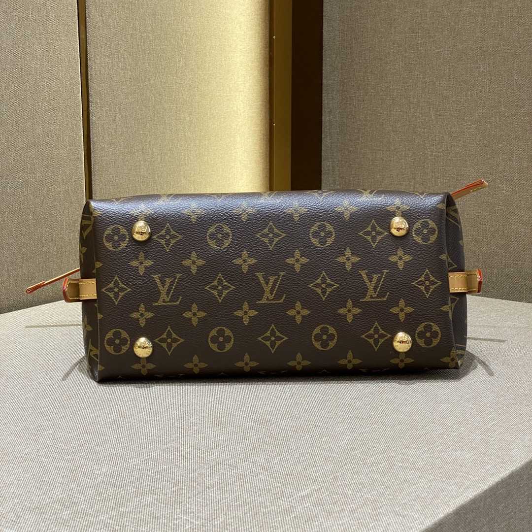 Louis Vuitton CarryAll PM (29-24-12cmCM) M46203 - EUR FASHION