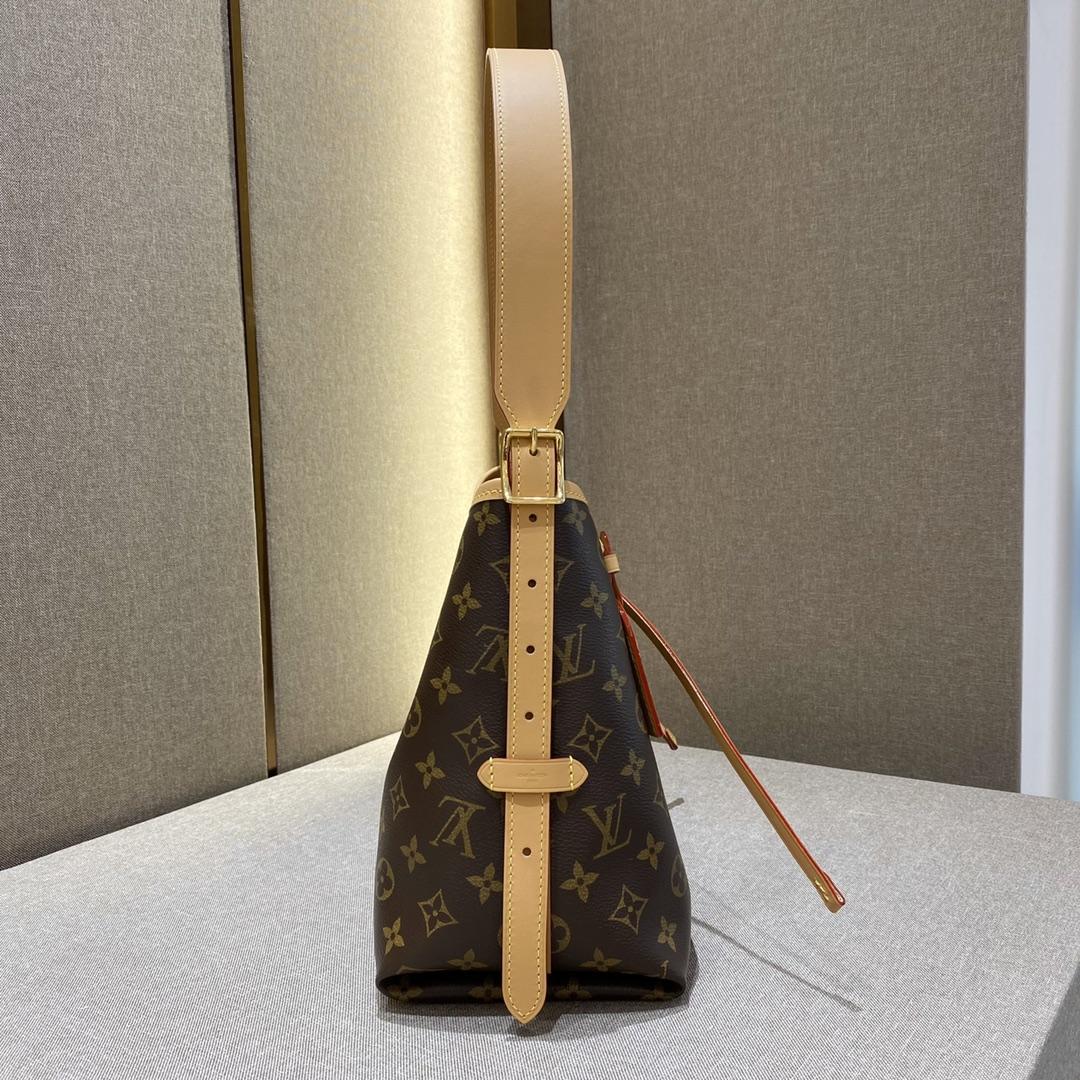 Louis Vuitton CarryAll PM (29-24-12cmCM) M46203 - EUR FASHION