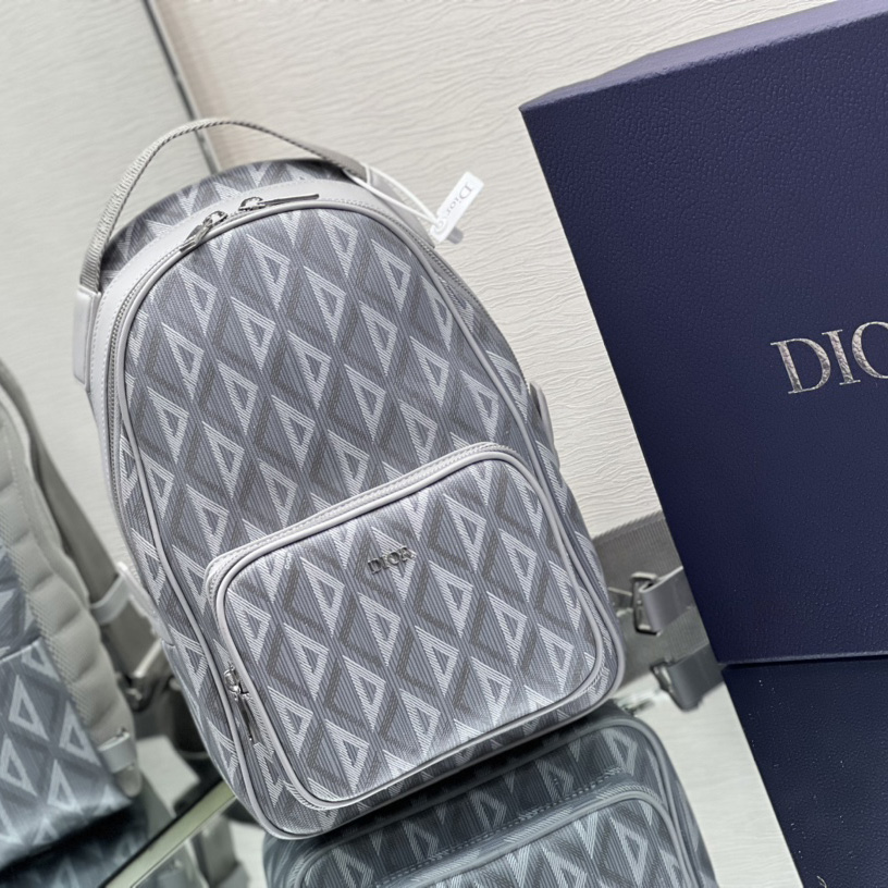 Dior Mini Rider Umhängetasche - EUR FASHION