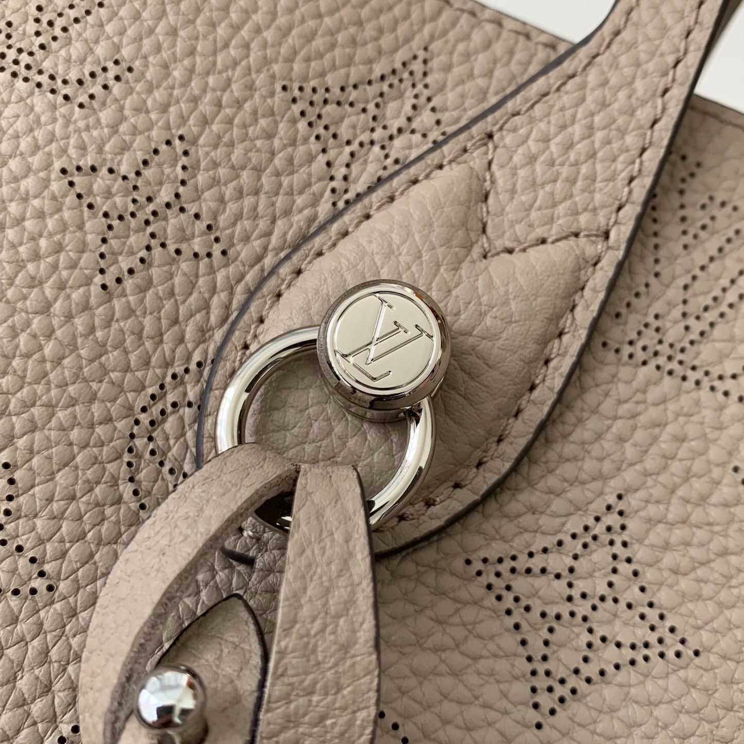 Louis Vuitton Blossom PM M21849 - EUR FASHION