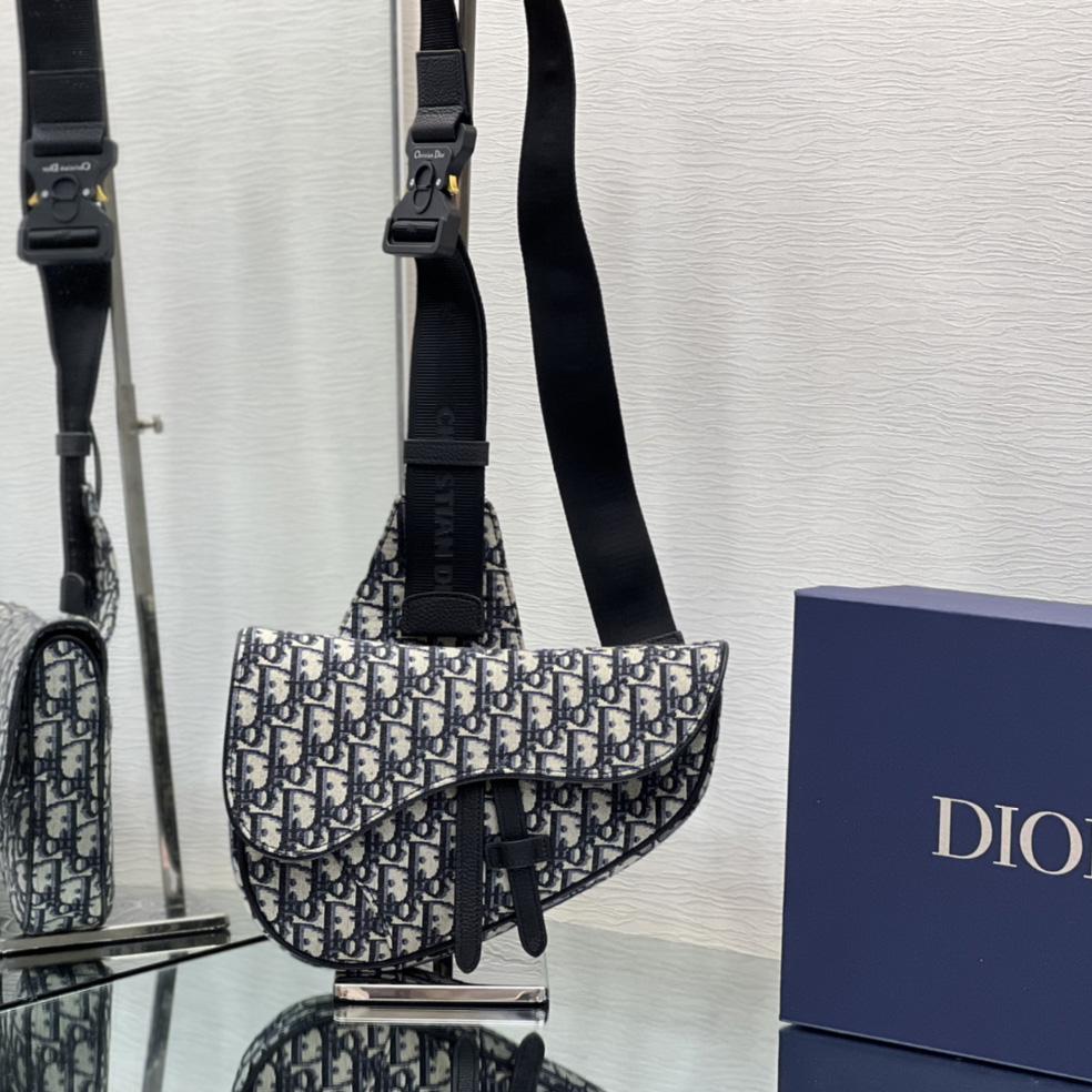 Dior Satteltasche - EUR FASHION