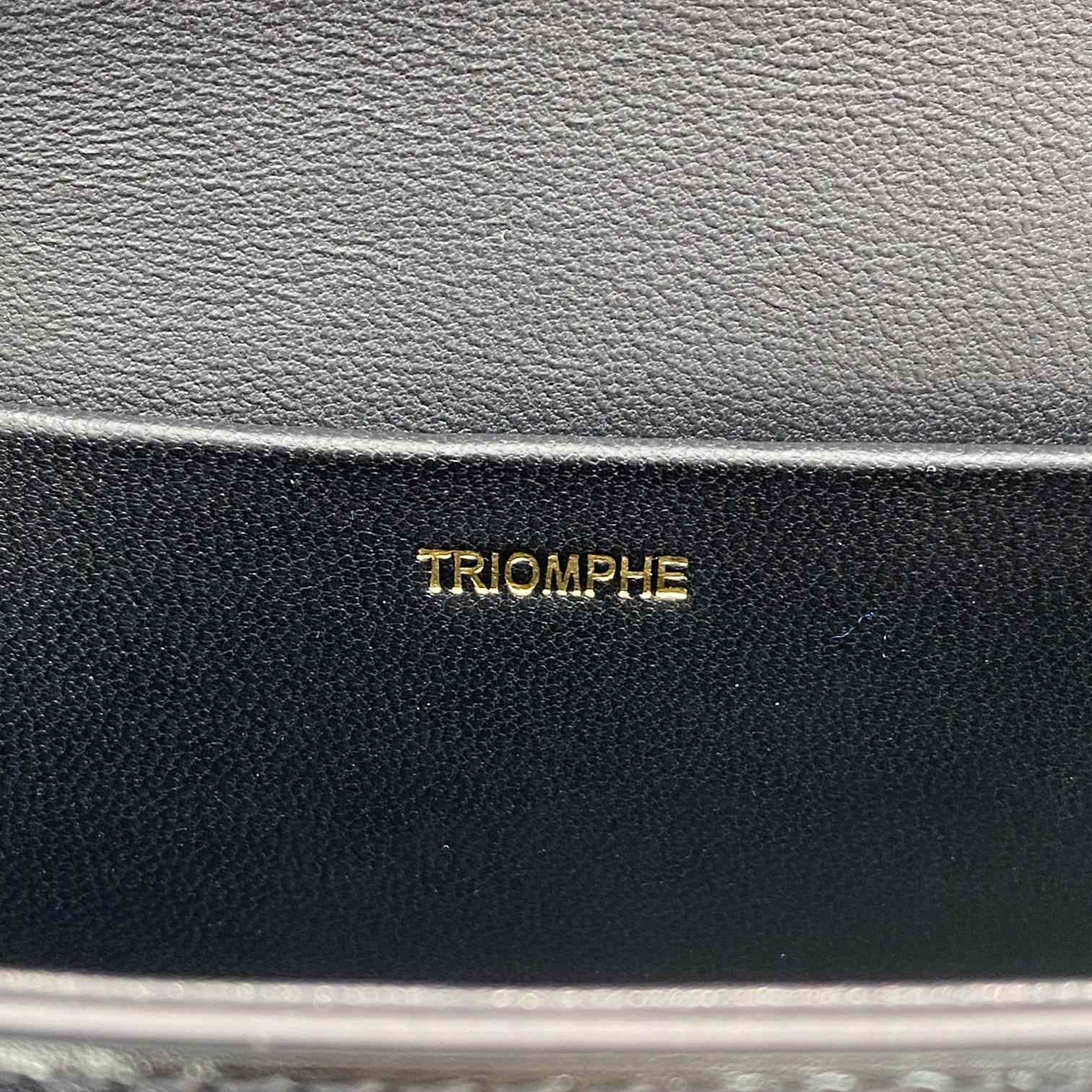 Celine Chain Box Triomphe Tasche aus glänzendem Kalbsleder - EUR FASHION