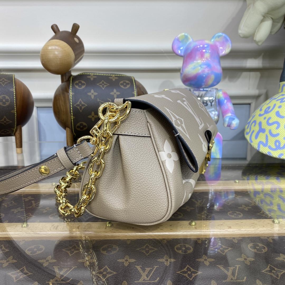 Louis Vuitton Favorit (24 x 14 x 9 cm) M45836 - EUR FASHION