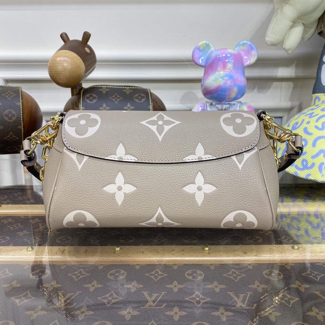 Louis Vuitton Favorit (24 x 14 x 9 cm) M45836 - EUR FASHION