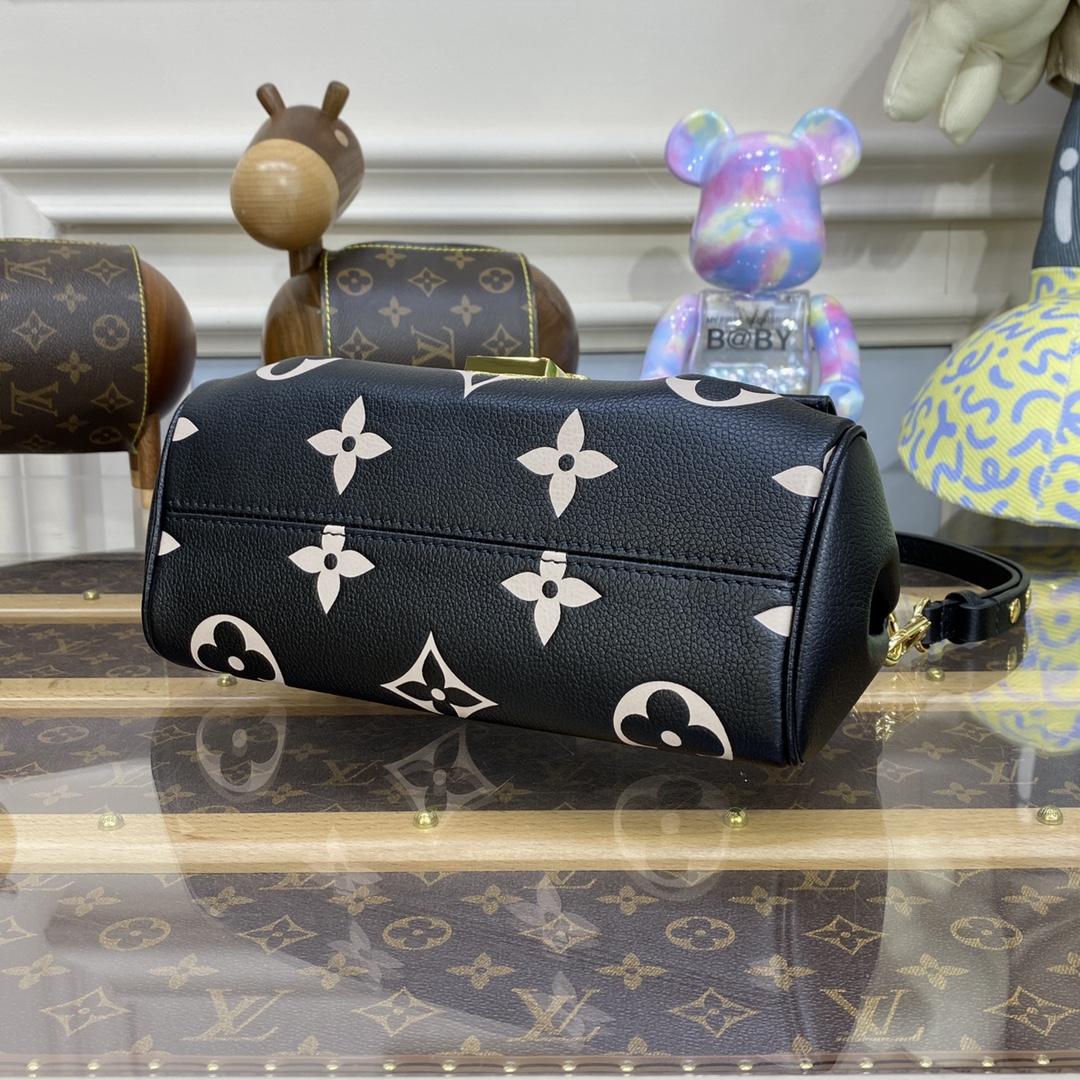 Louis Vuitton Favorit (24 x 14 x 9 cm) M45859 - EUR FASHION