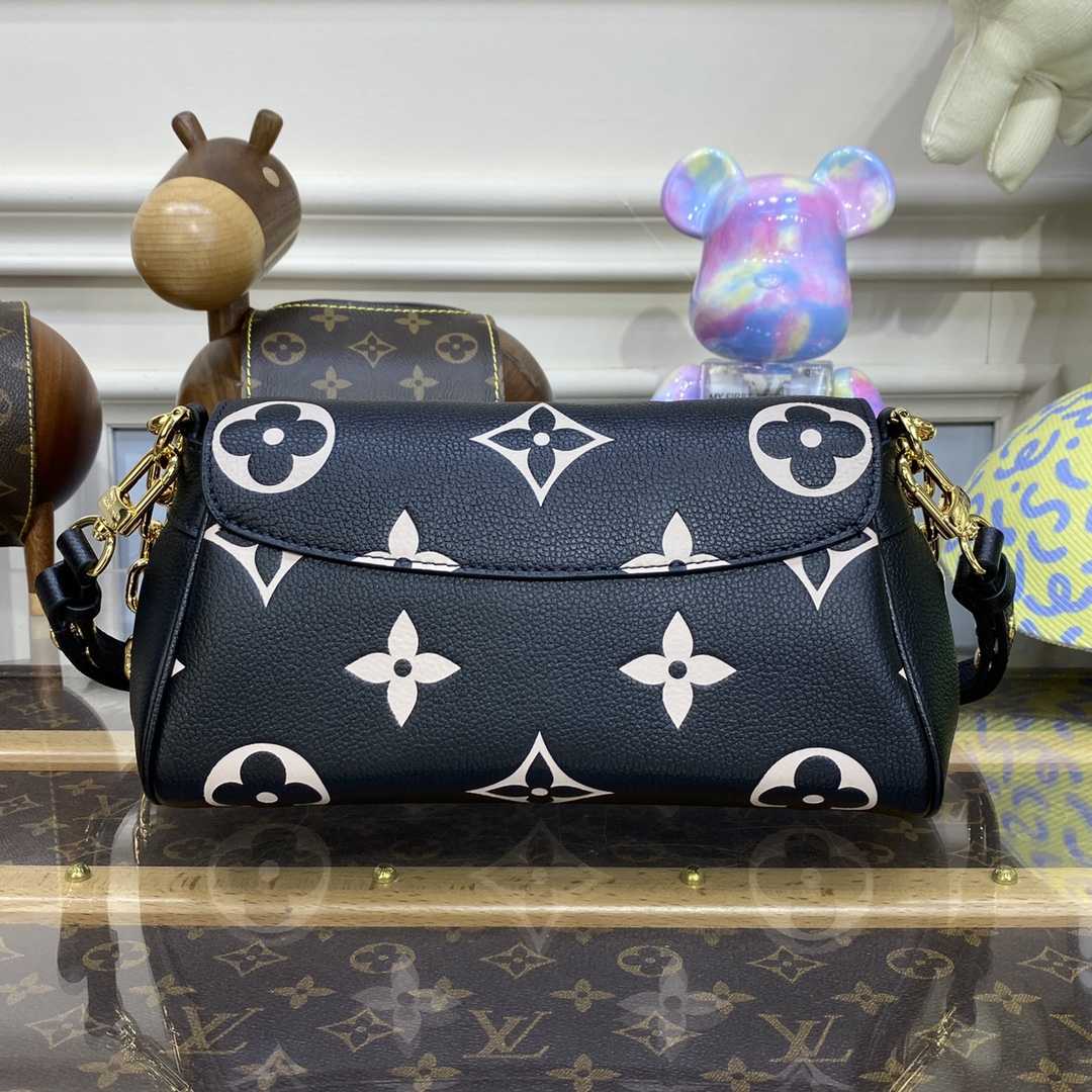 Louis Vuitton Favorit (24 x 14 x 9 cm) M45859 - EUR FASHION