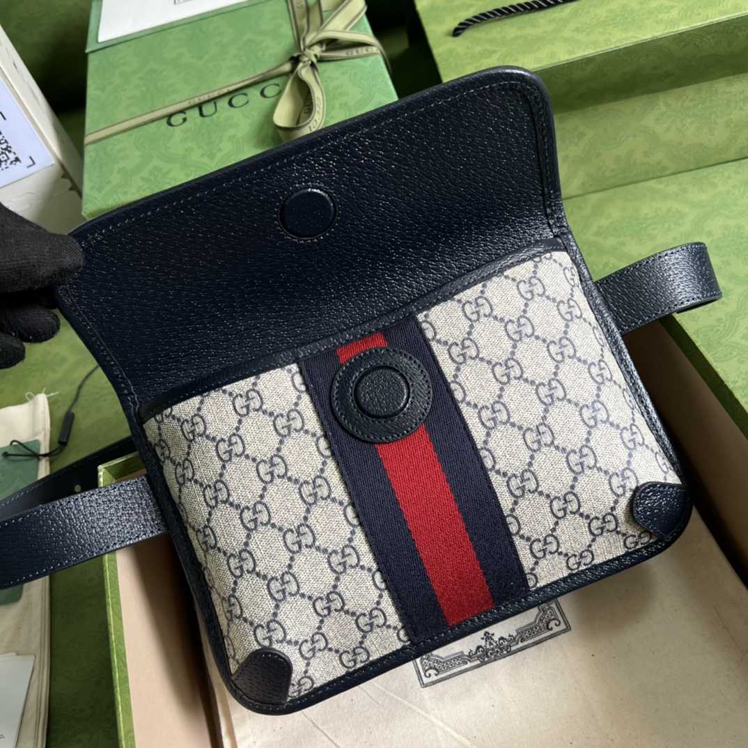 Gucci Ophidia Gürteltasche (22*17*3,5cm) - EUR FASHION