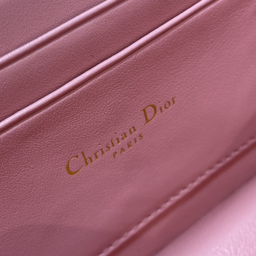 Dior Miss Caro Mini-Tasche - EUR FASHION