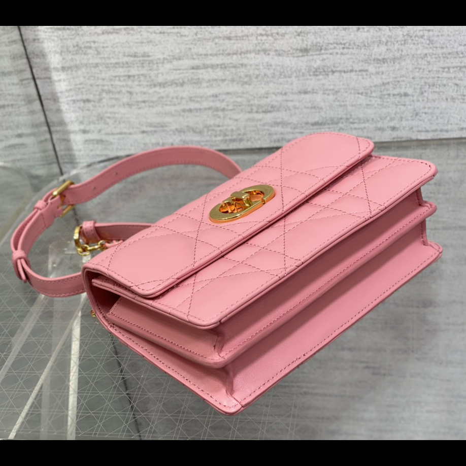 Dior Miss Caro Mini-Tasche - EUR FASHION
