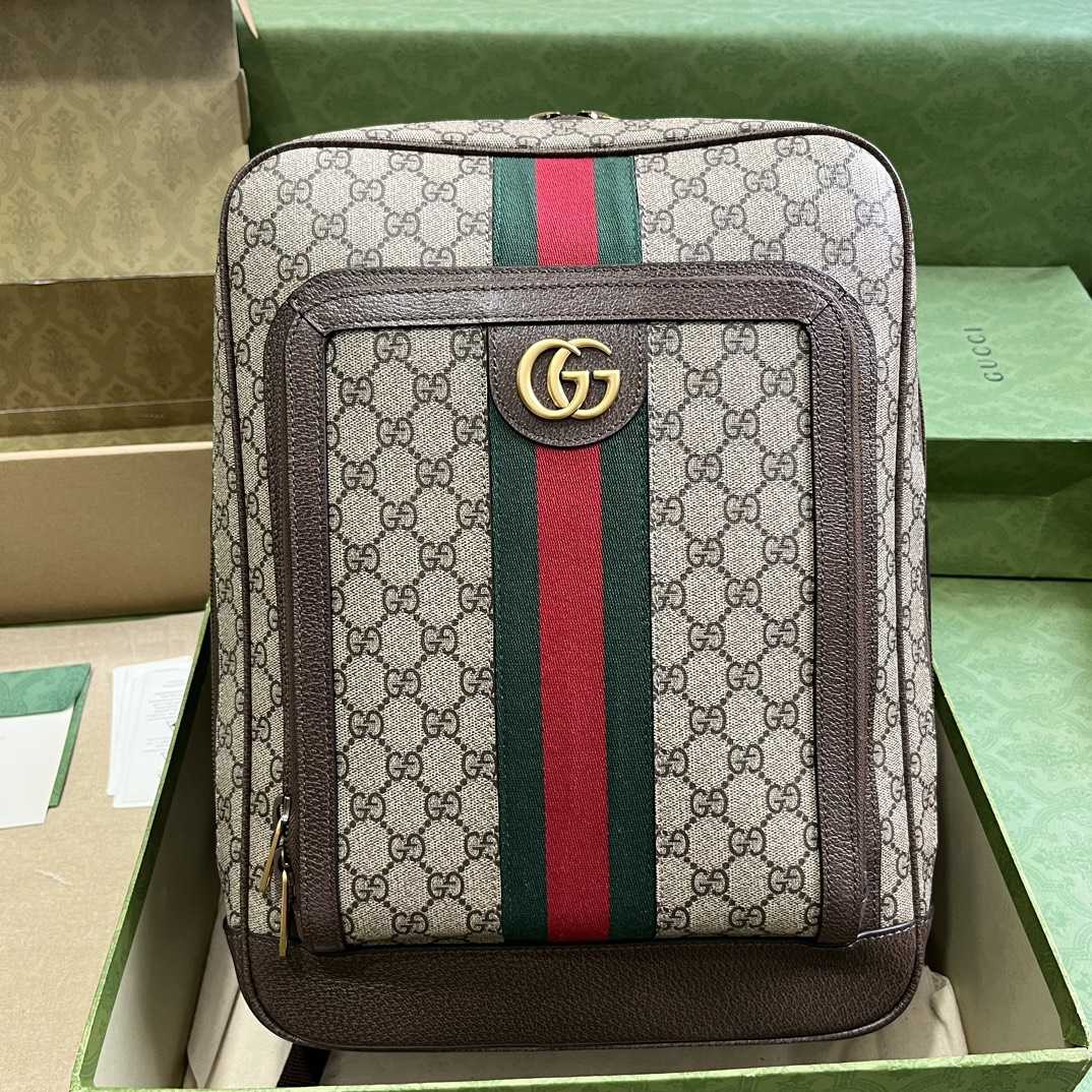 Gucci Ophidia GG Mittelgroßer Rucksack (40-30-14 cm) - EUR FASHION