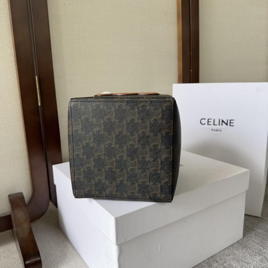 Celine Cube Bag Cuir Triomphe aus Triomphe-Canvas und Kalbsleder (15-15-15 cm) - EUR FASHION