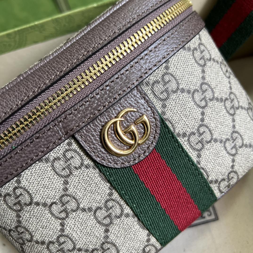 Gucci Ophidia GG Gürteltasche (18-12-6cm) - EUR FASHION