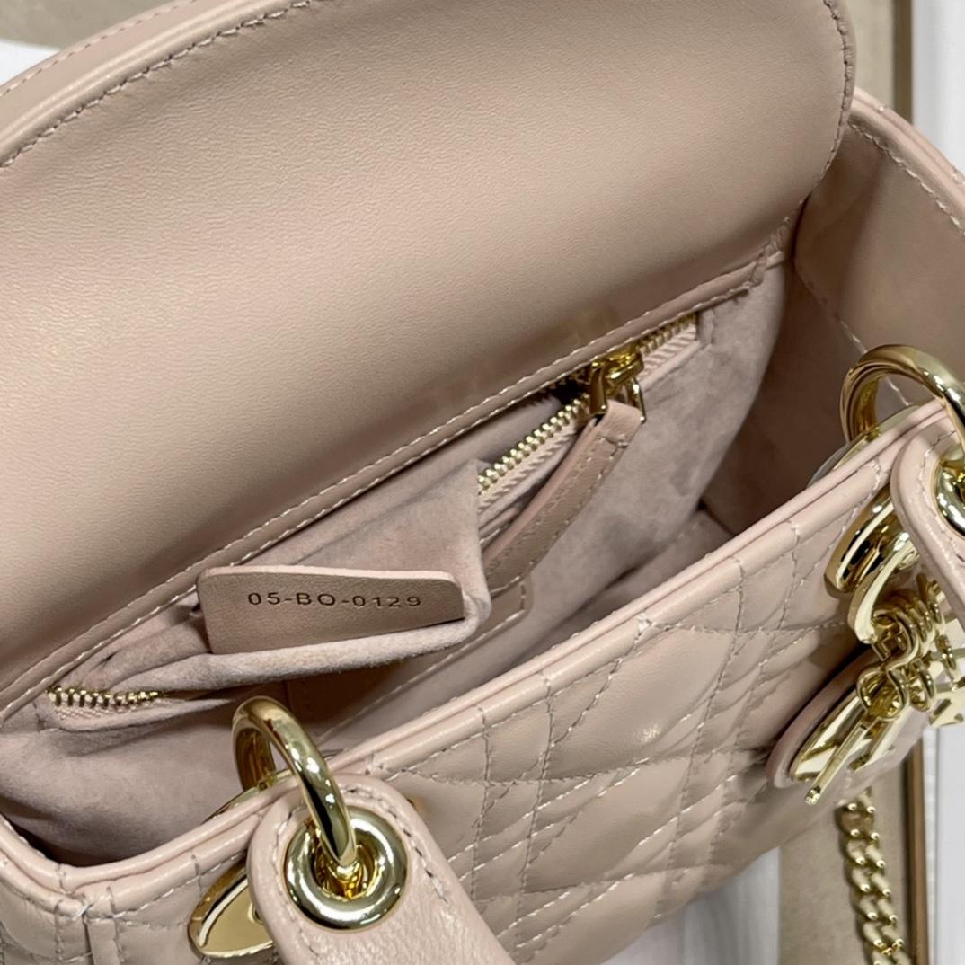 Dior Lady Dior Tasche (17 x 7,5 x 14 cm) - EUR FASHION