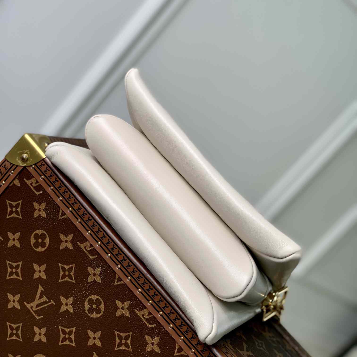 Louis Vuitton Coussin-Tasche (21–16–7 cm) M22993 - EUR FASHION