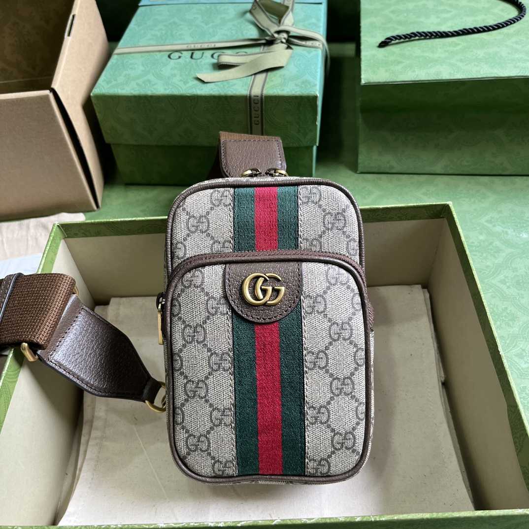 Gucci Ophidia GG Minitasche (12x 18x 6,9cm) - EUR FASHION