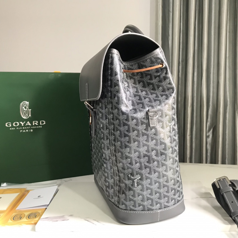 Goyard Cisalpin Rucksack (39x32x15,5cm) - EUR FASHION