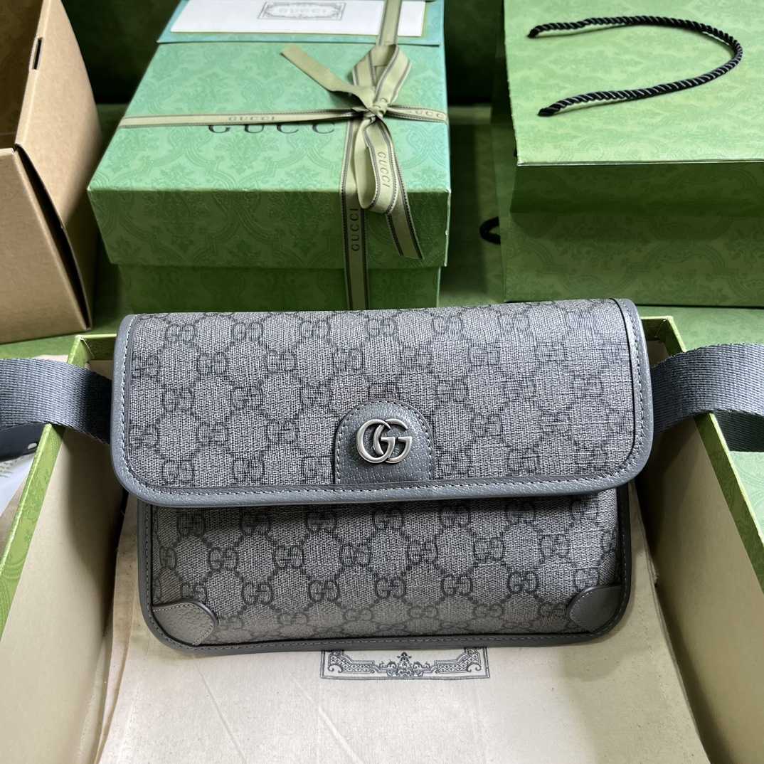 Gucci Ophidia GG Kleine Gürteltasche - EUR FASHION