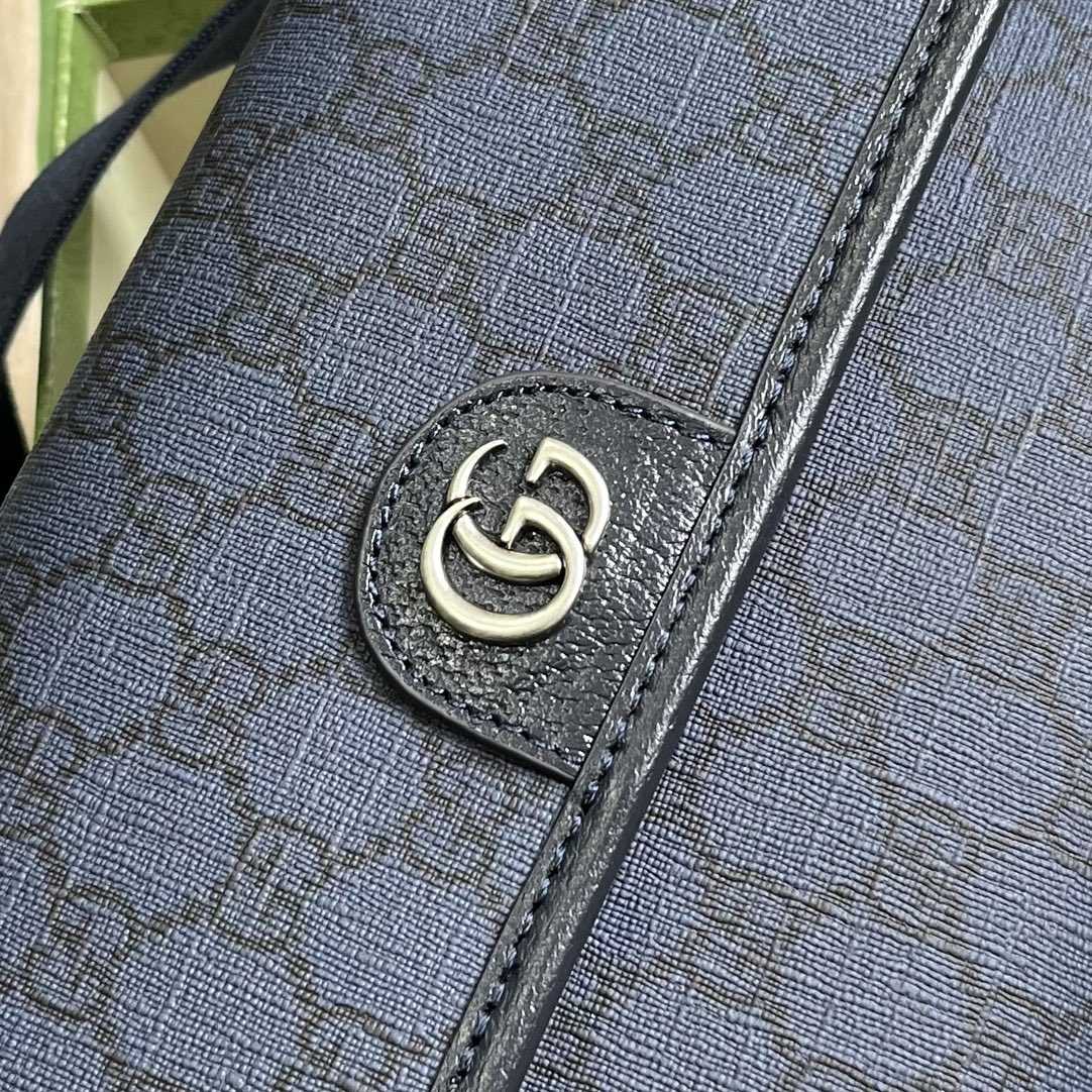 Gucci Ophidia GG Kleine Gürteltasche (23,9 x 17 x 3,6 cm) - EUR FASHION