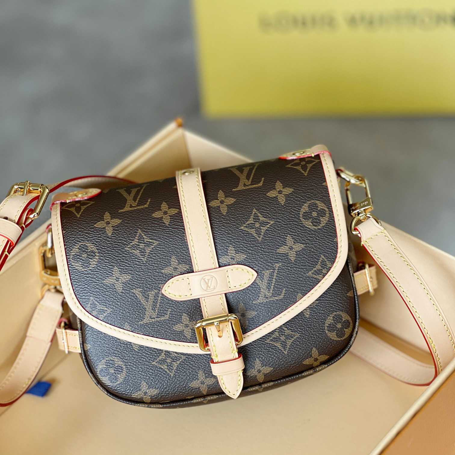 Louis Vuitton Saumur BB (20x15x7,5cm) M46740 - EUR FASHION