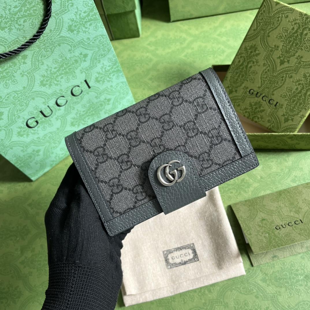 Gucci Ophidia Reisepassetui - EUR FASHION