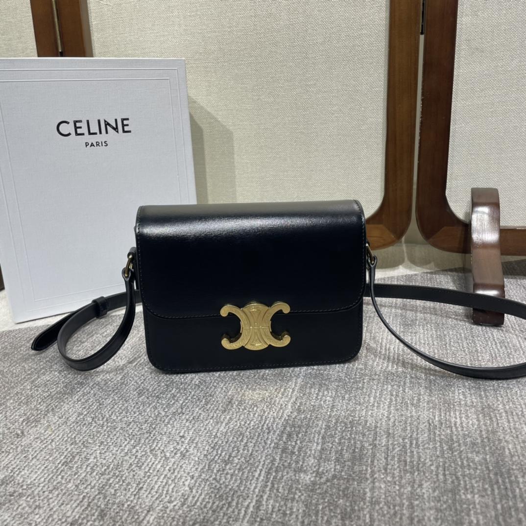 Celine Teen Triomphe Tasche aus glänzendem Kalbsleder - EUR FASHION