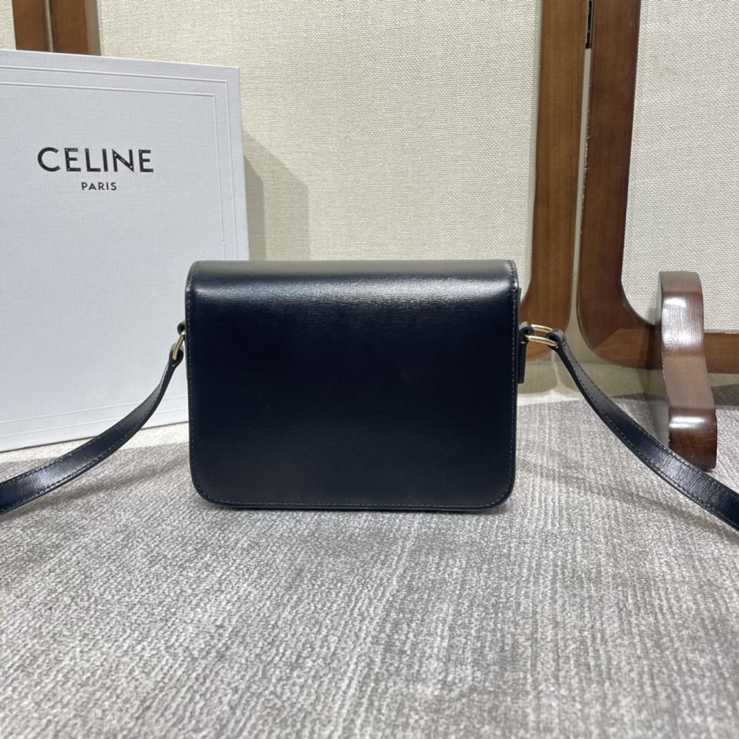 Celine Teen Triomphe Tasche aus glänzendem Kalbsleder - EUR FASHION