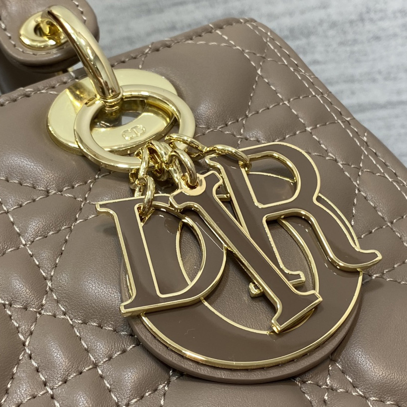 Dior Mittlere Lady Dior Tasche - EUR FASHION