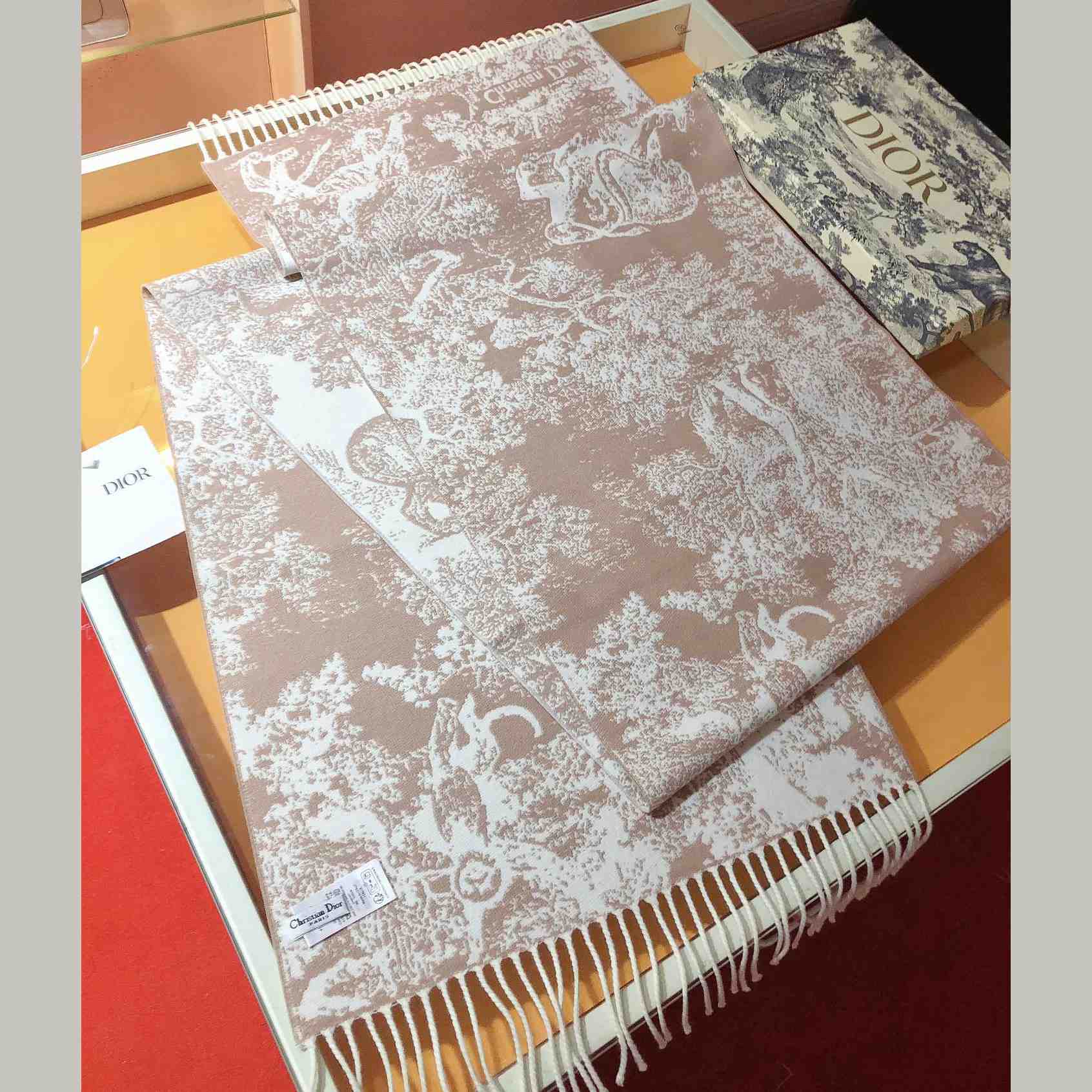 Dior Toile De Jouy Sauvage Scarf  - EUR FASHION