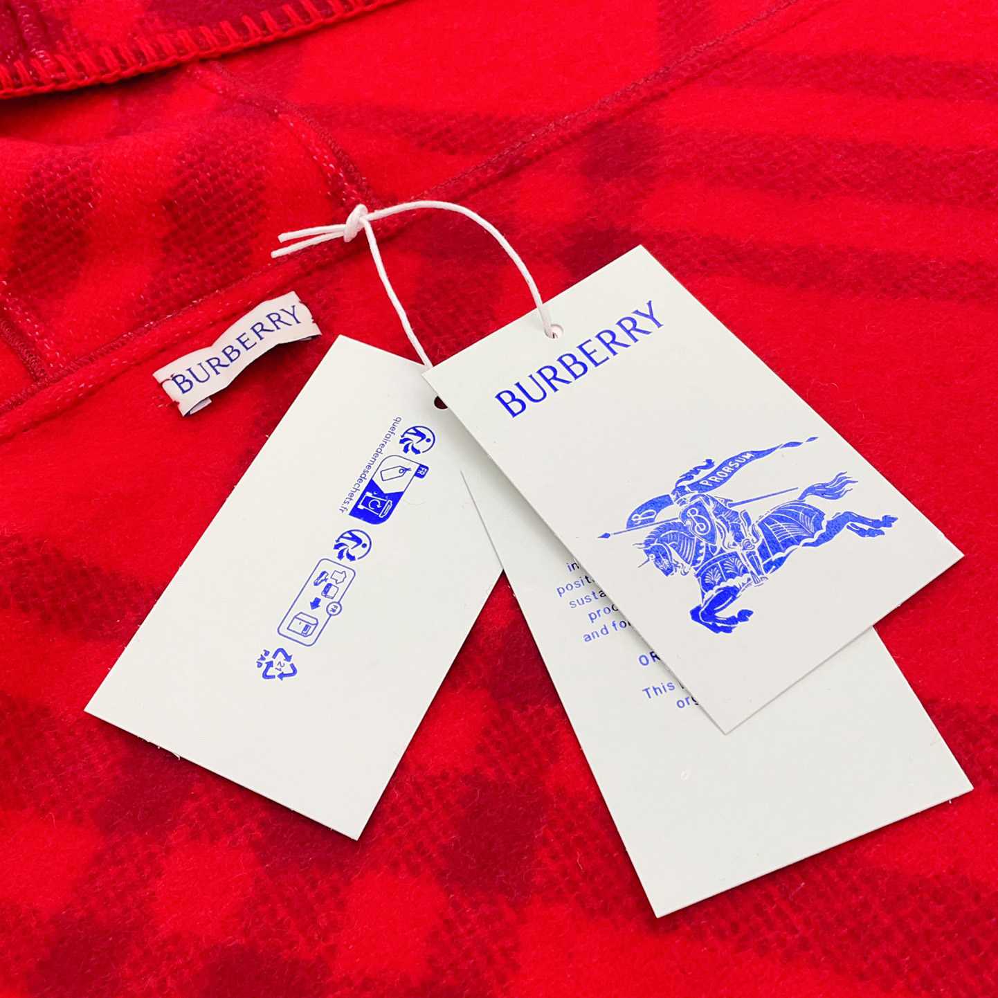 Burberry Karierter Kapuzenschal aus Wolle<br>
 - EUR FASHION