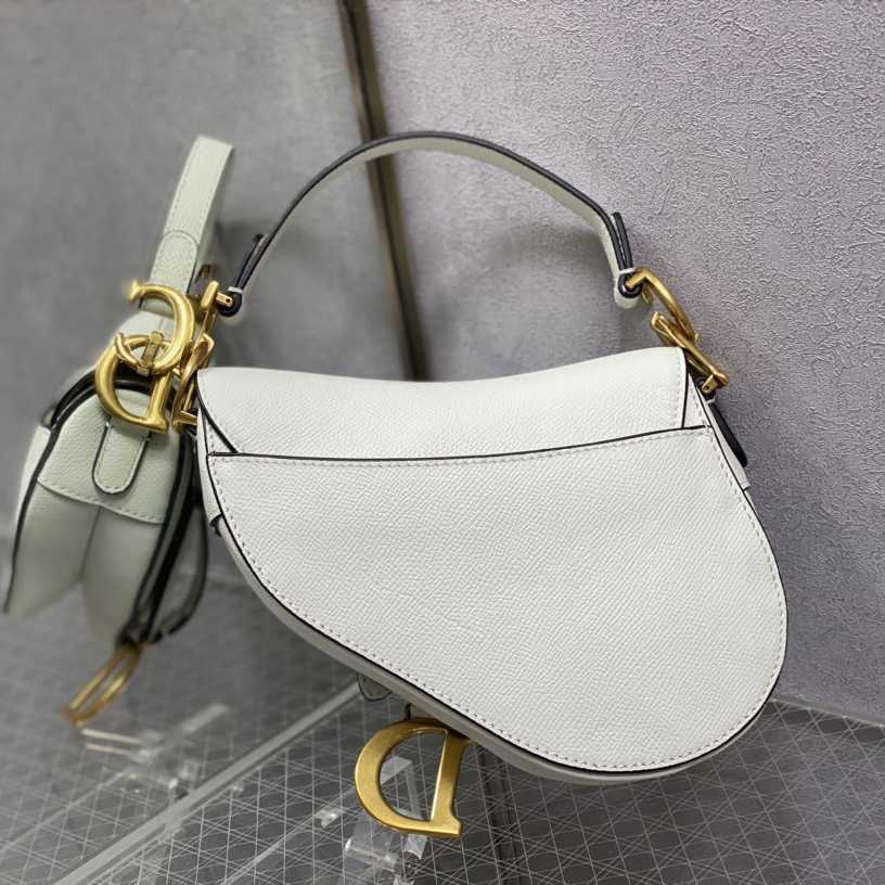 Dior Saddle Bag    19.5cm - EUR FASHION