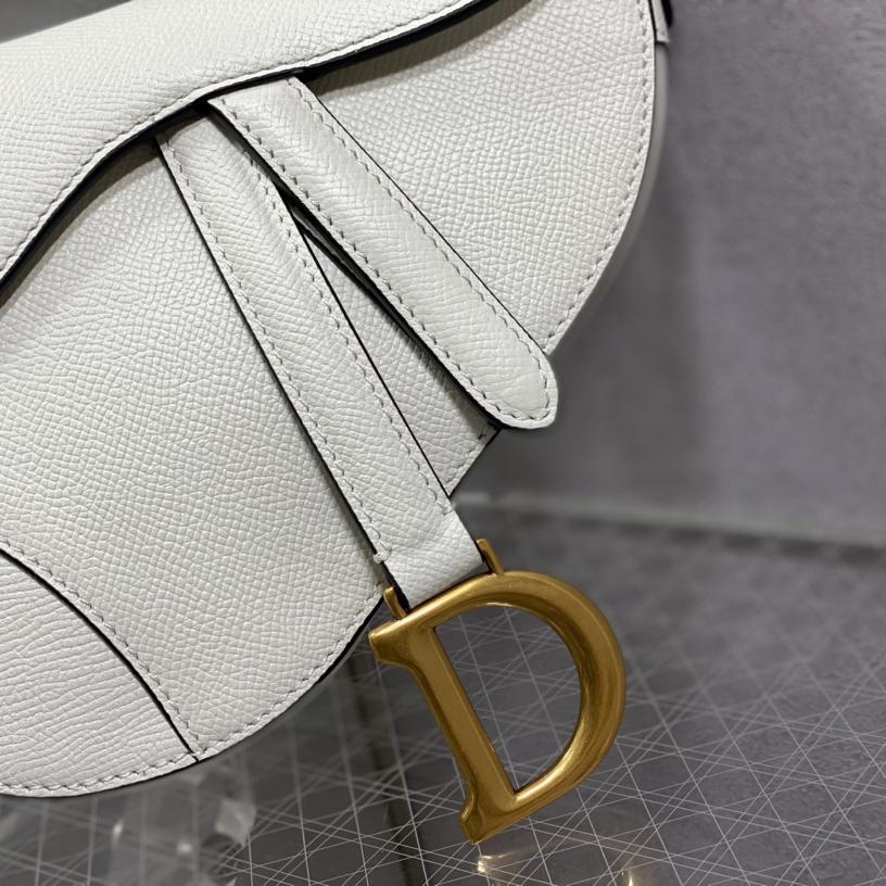 Dior Saddle Bag    19.5cm - EUR FASHION