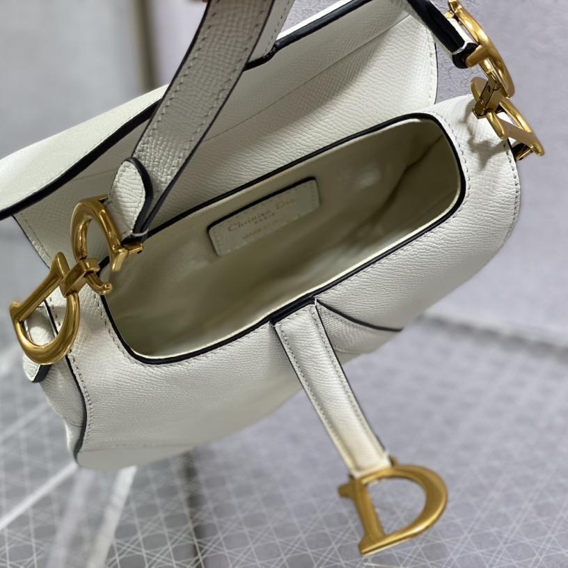 Dior Saddle Bag    19.5cm - EUR FASHION