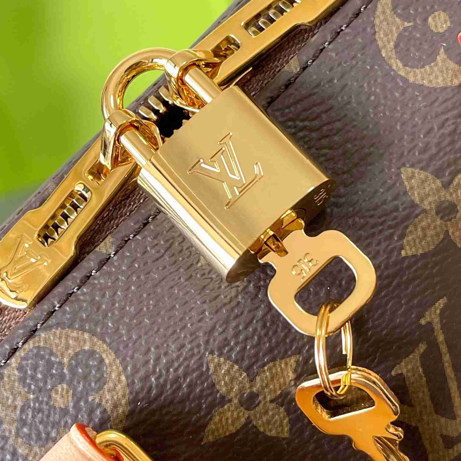 Louis Vuitton Speedy Bandoulière 20   M46222 - EUR FASHION