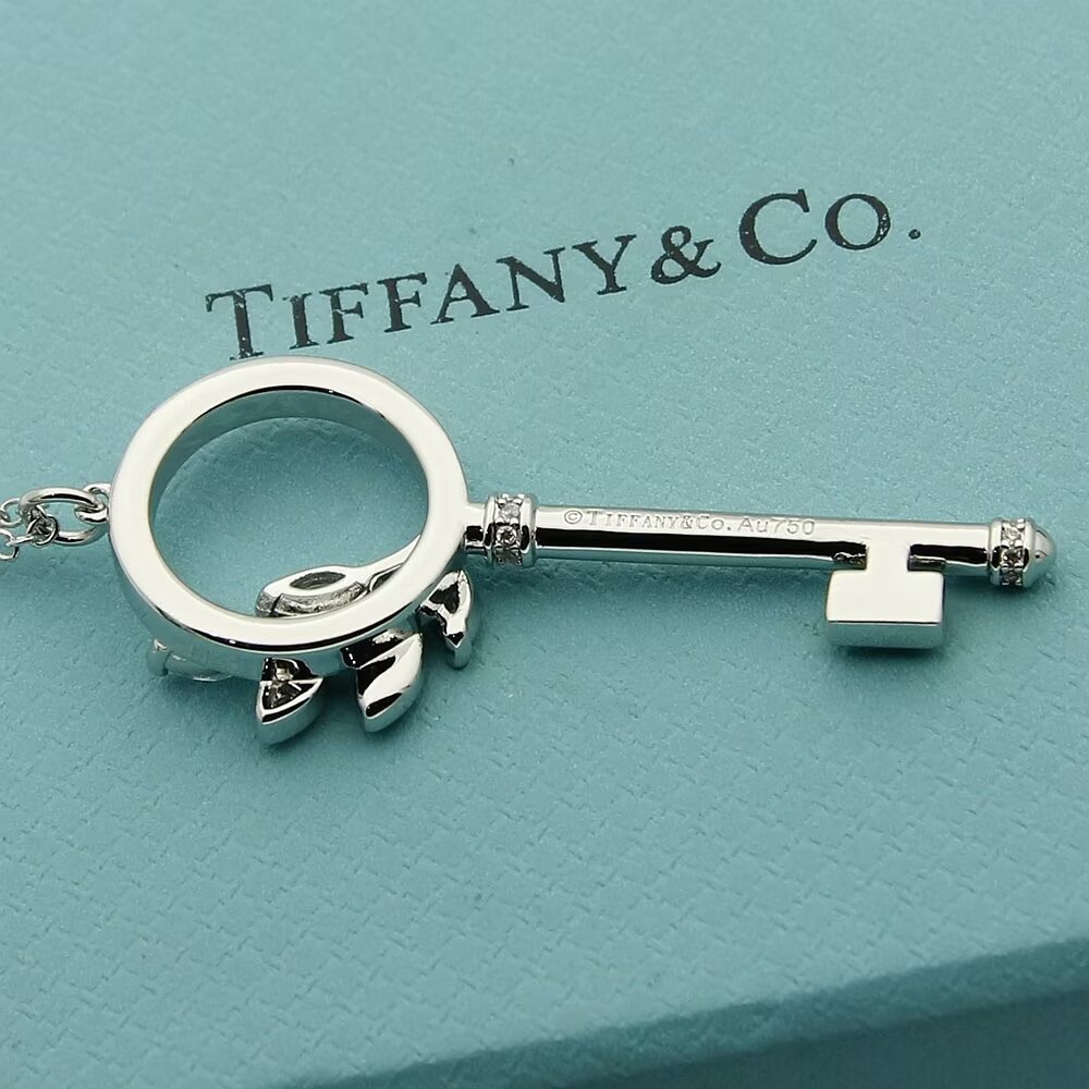 Tiffany & Co.  Diamond Vine Circle Key In Platinum - EUR FASHION