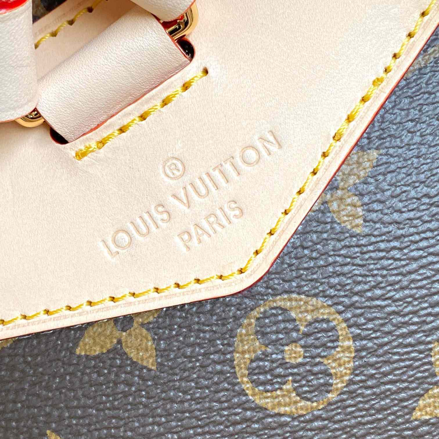 Louis Vuitton Montsouris MM  M11197 - EUR FASHION