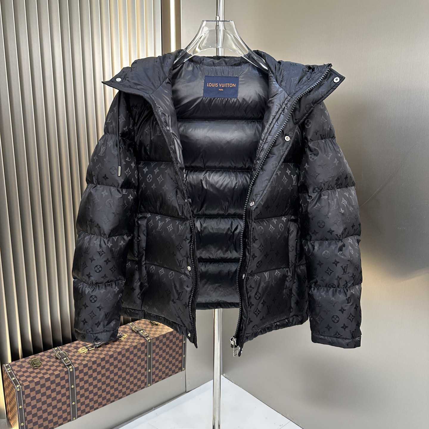 Louis Vuitton Monogram Down Jacket - EUR FASHION