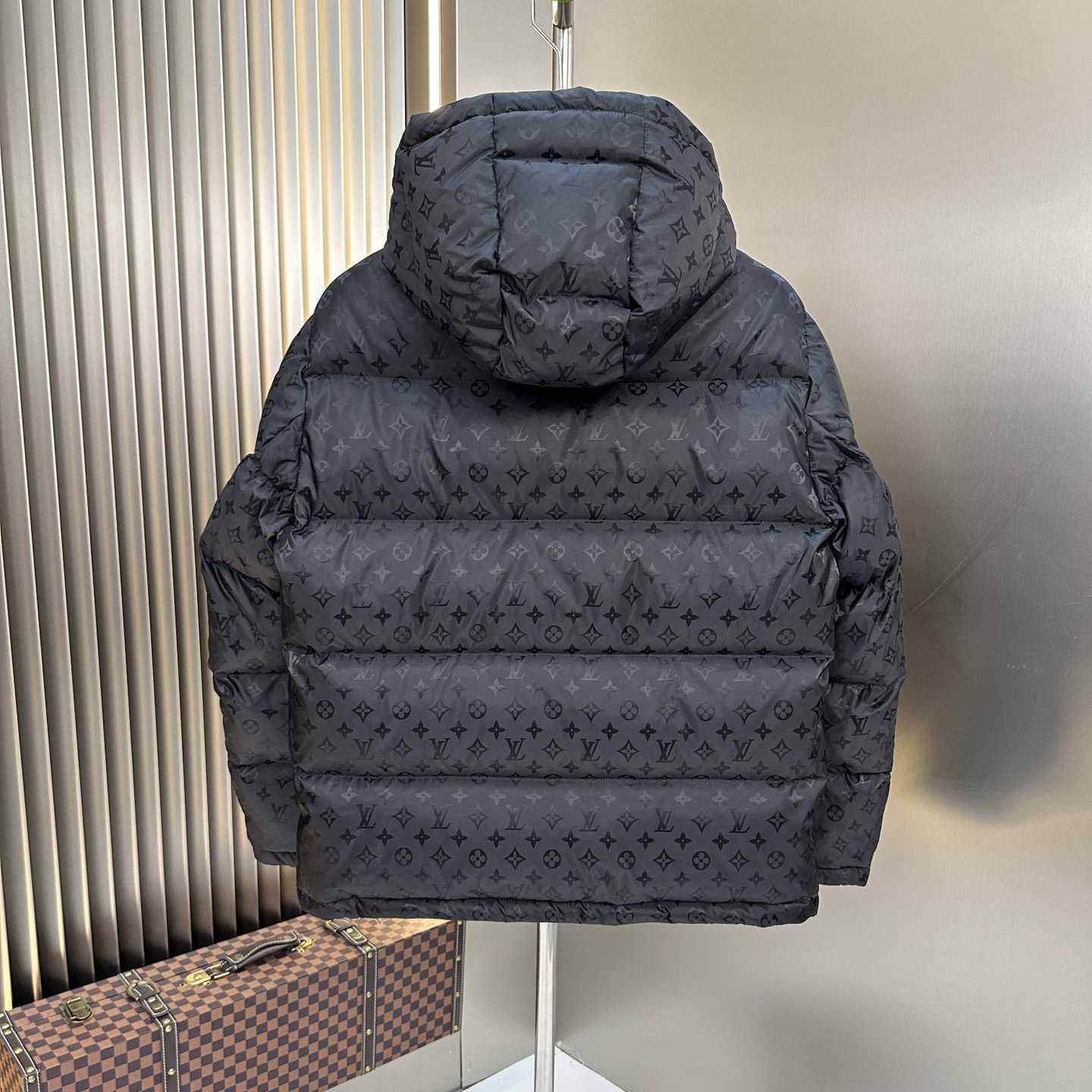 Louis Vuitton Monogram Down Jacket - EUR FASHION