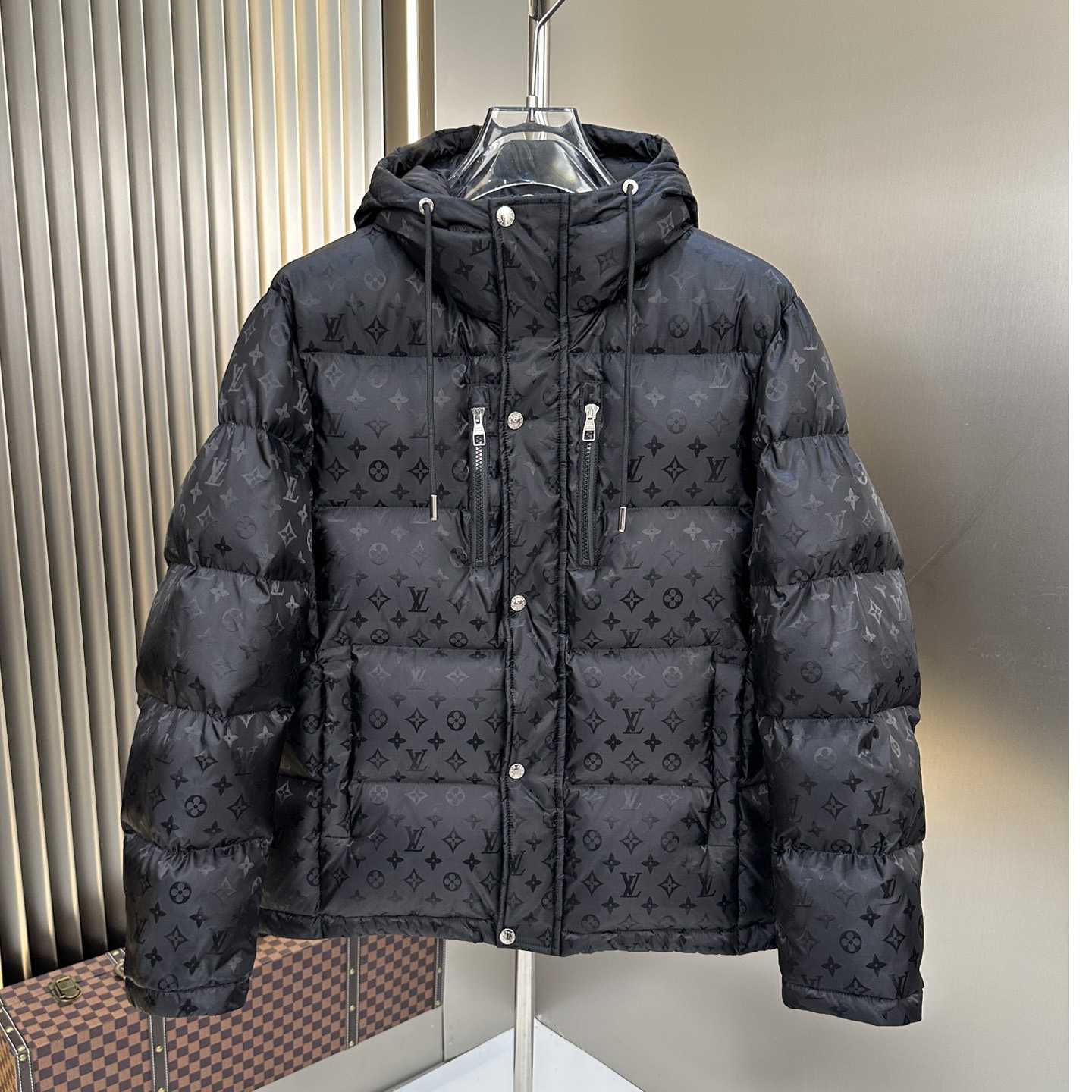 Louis Vuitton Monogram Down Jacket - EUR FASHION