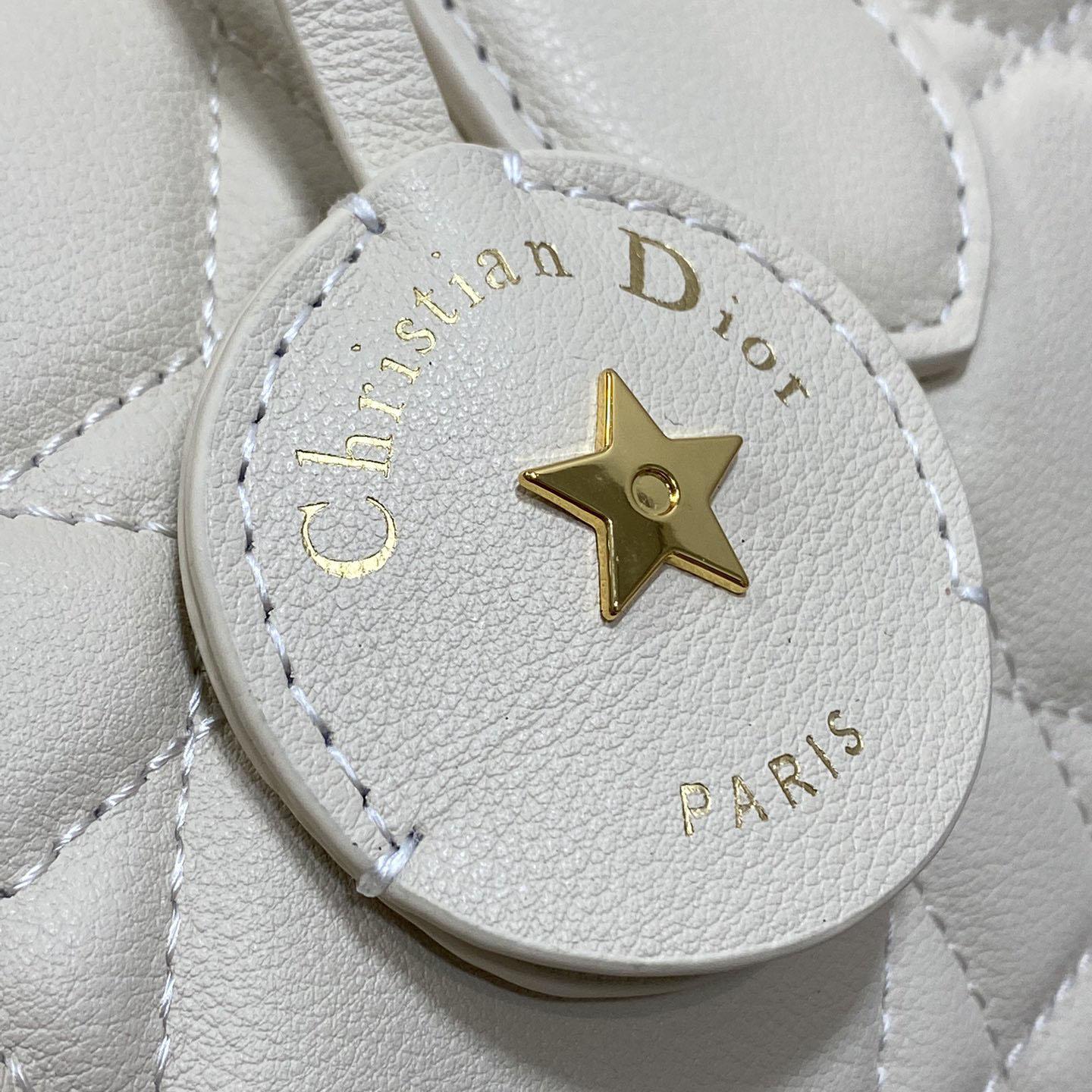 Dior Groove 20 Bag  - EUR FASHION