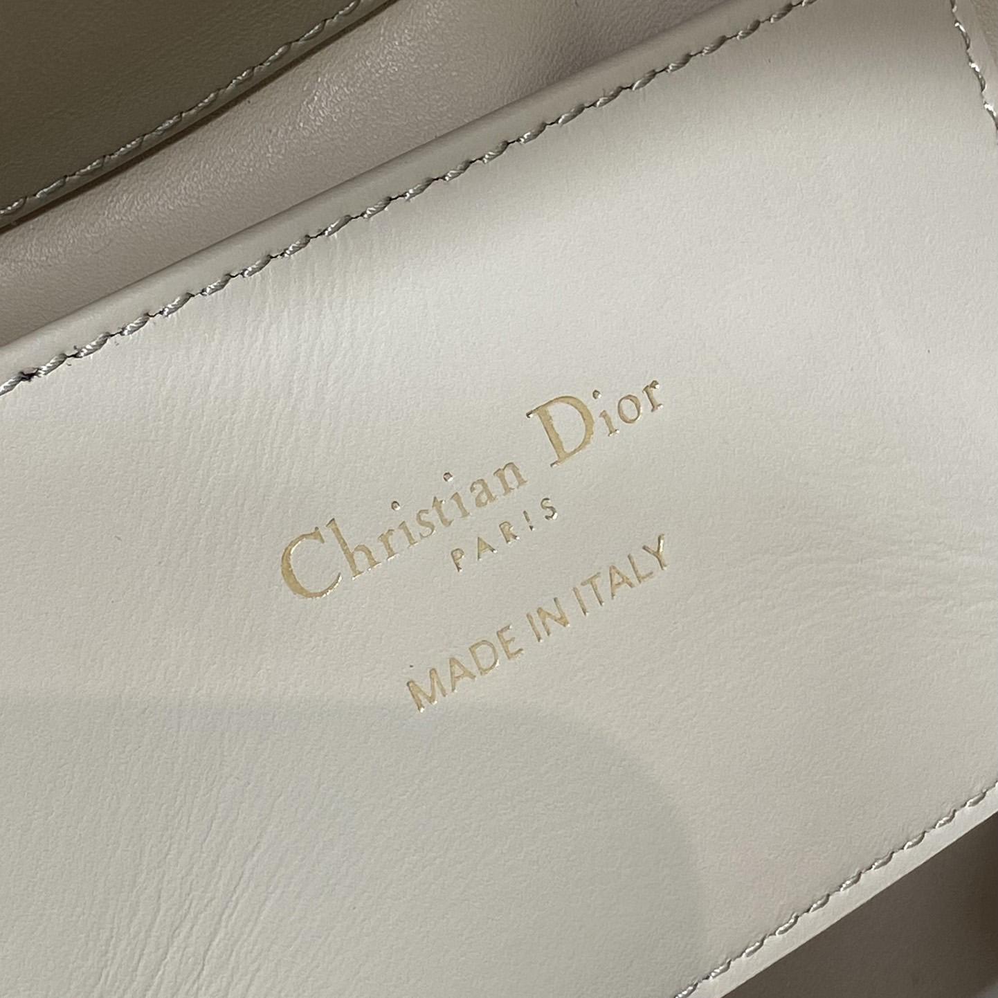 Dior Toujours Vertical Nano Tote Bag  - EUR FASHION