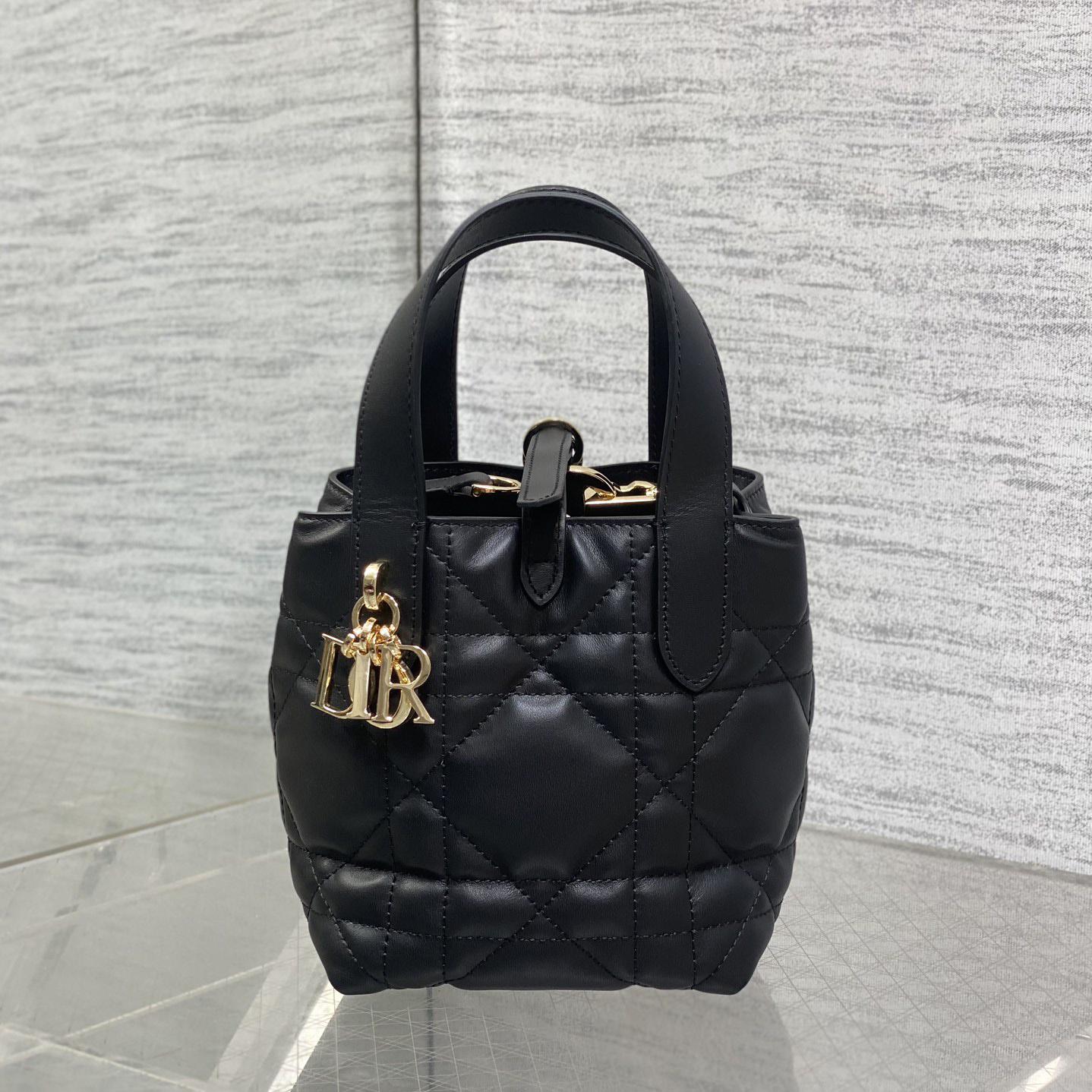 Dior Toujours Vertical Nano Tote Bag  - EUR FASHION