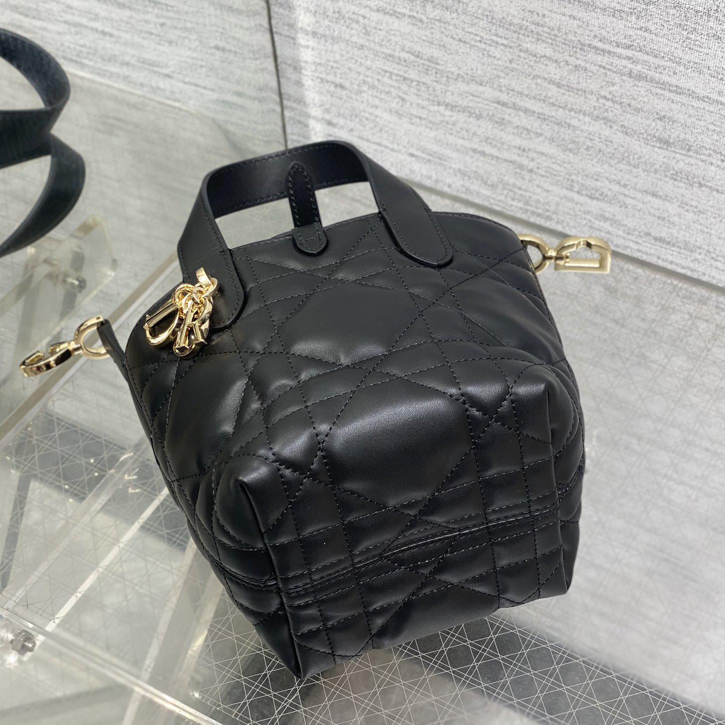 Dior Toujours Vertical Nano Tote Bag  - EUR FASHION