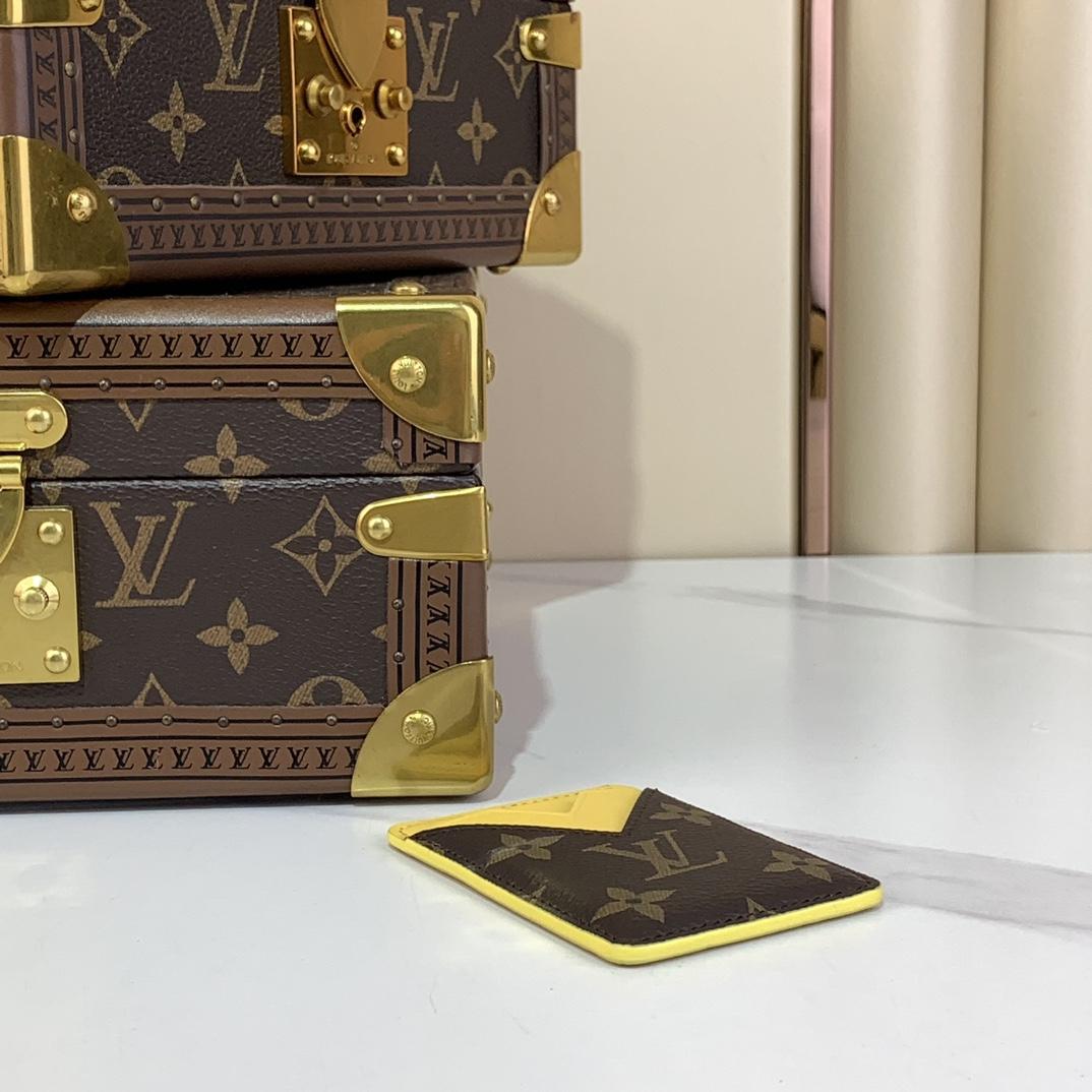 Louis Vuitton Porte-Cartes Magnet  M12853 - EUR FASHION